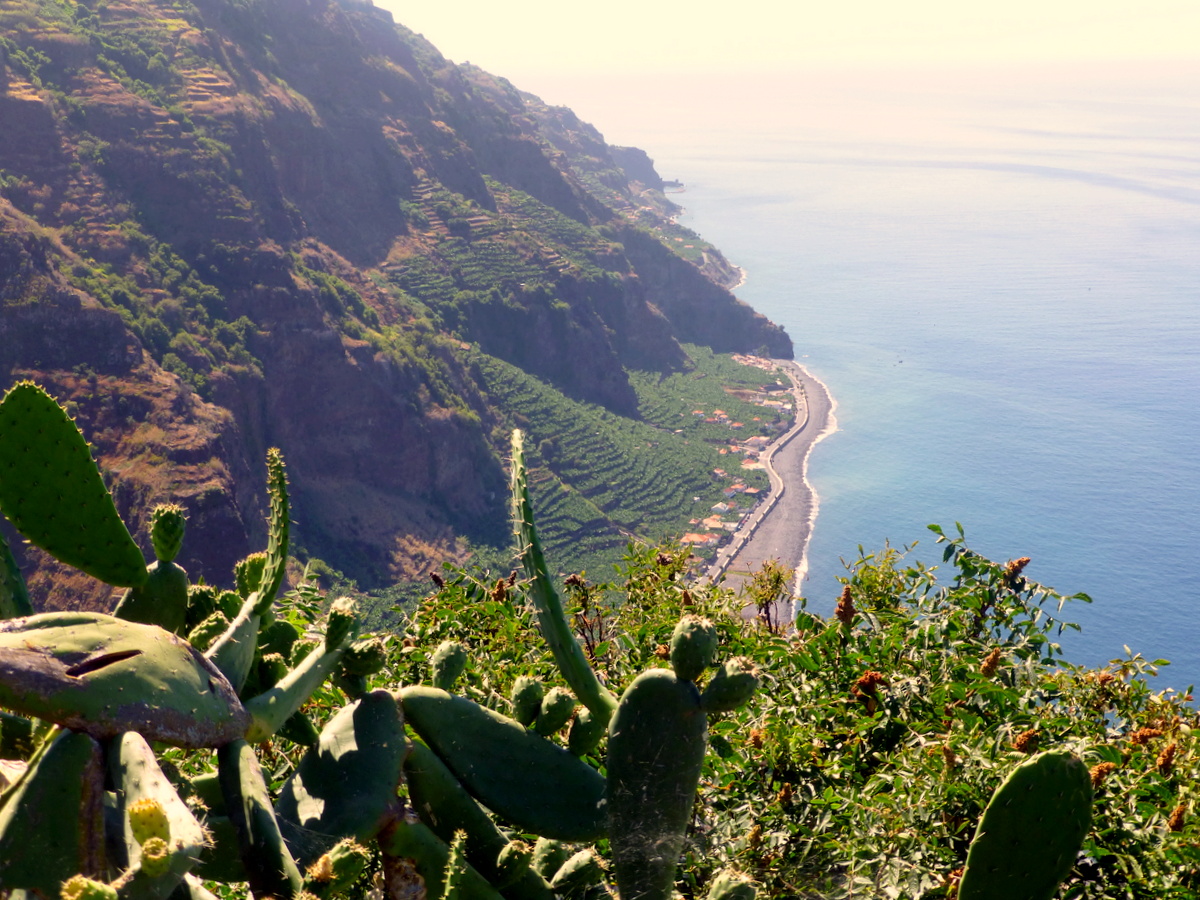 Madalena do Mar, in den Terrassengärten im Ort und rundherum werden Bananen angebaut; außerdem von der Küstenstraße hat man einen fantastischen Ausblick auf die langgestreckte Meeresküste