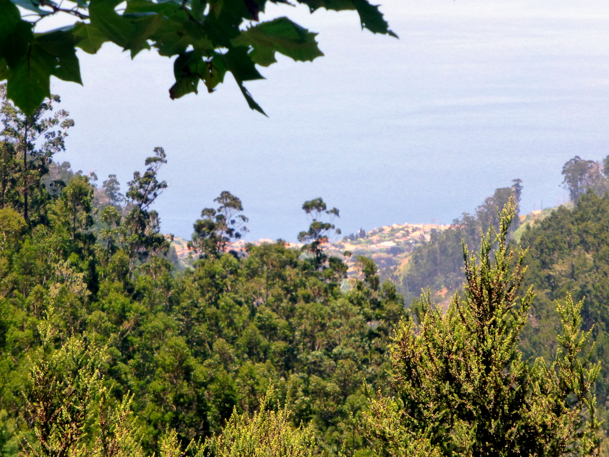 im Hintergrund der Ort Calheta